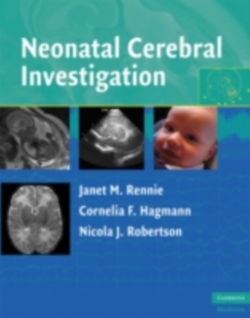 Neonatal Cerebral Investigation, PDF eBook