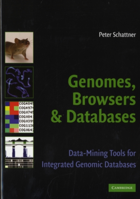 Genomes, Browsers and Databases : Data-Mining Tools for Integrated Genomic Databases, PDF eBook