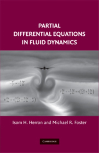 Partial Differential Equations in Fluid Dynamics, PDF eBook