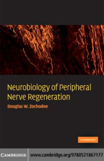 Neurobiology of Peripheral Nerve Regeneration, PDF eBook