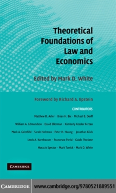 Theoretical Foundations of Law and Economics, PDF eBook
