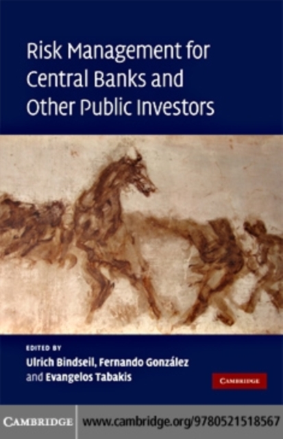 Risk Management for Central Banks and Other Public Investors, PDF eBook
