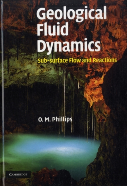 Geological Fluid Dynamics : Sub-surface Flow and Reactions, PDF eBook