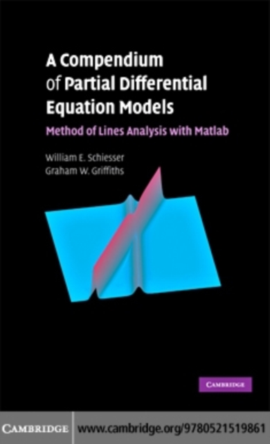 Compendium of Partial Differential Equation Models : Method of Lines Analysis with Matlab, PDF eBook