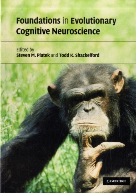 Foundations in Evolutionary Cognitive Neuroscience, PDF eBook