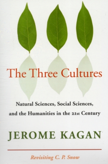 Three Cultures : Natural Sciences, Social Sciences, and the Humanities in the 21st Century, PDF eBook