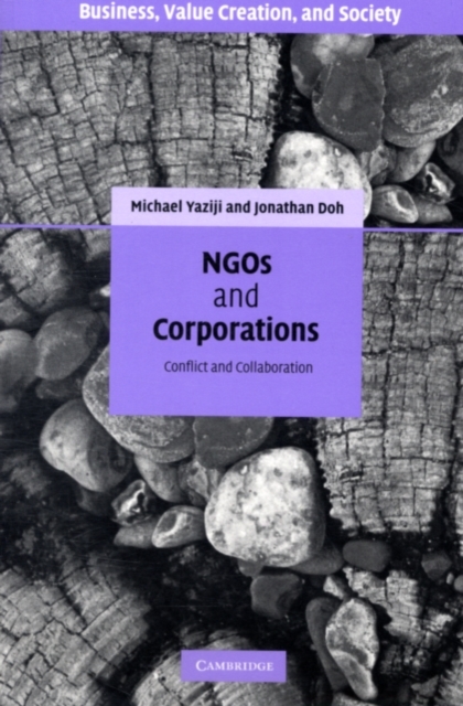 NGOs and Corporations : Conflict and Collaboration, PDF eBook