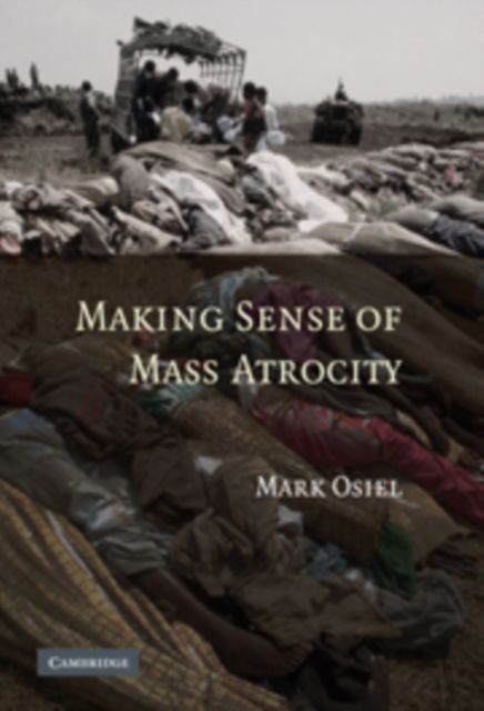 Making Sense of Mass Atrocity, PDF eBook