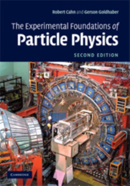 Experimental Foundations of Particle Physics, PDF eBook