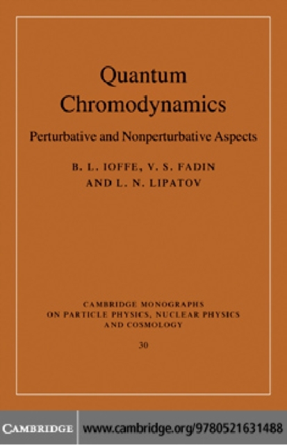 Quantum Chromodynamics : Perturbative and Nonperturbative Aspects, PDF eBook