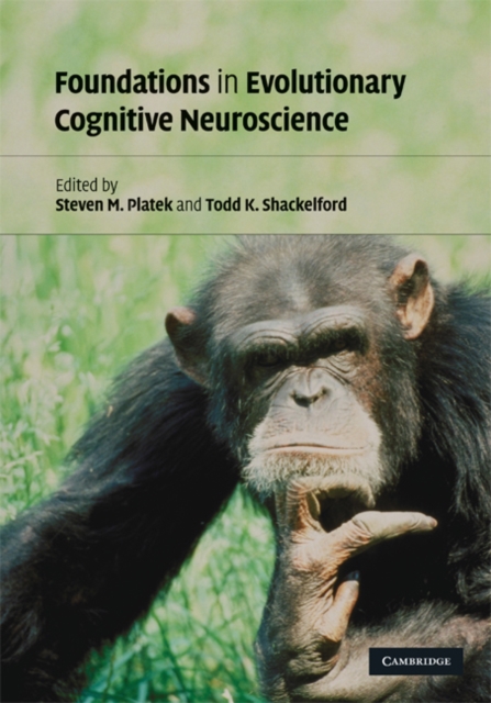 Foundations in Evolutionary Cognitive Neuroscience, EPUB eBook