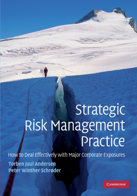 Strategic Risk Management Practice : How to Deal Effectively with Major Corporate Exposures, EPUB eBook