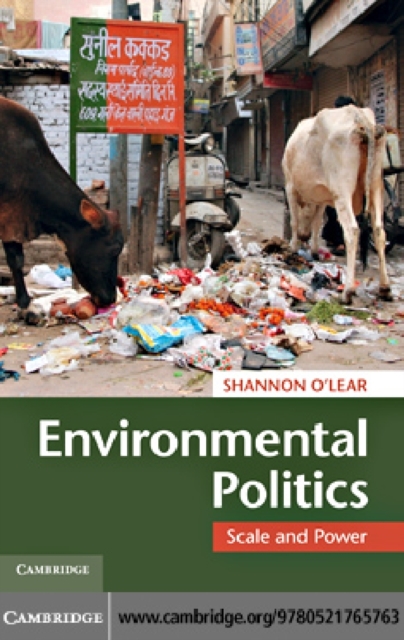 Environmental Politics : Scale and Power, PDF eBook