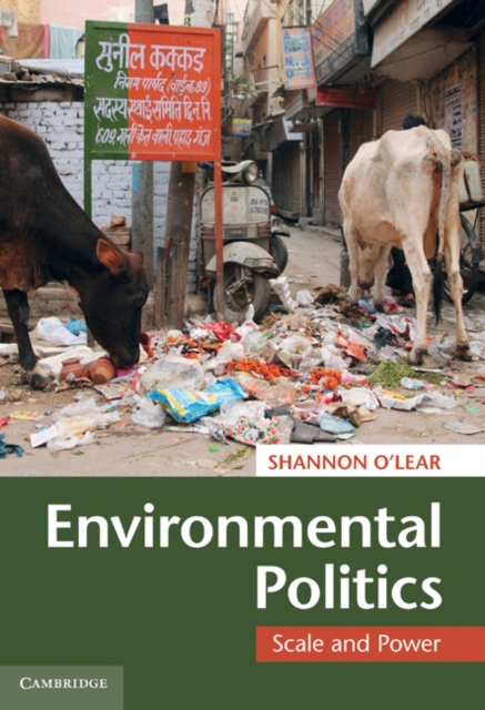 Environmental Politics : Scale and Power, EPUB eBook