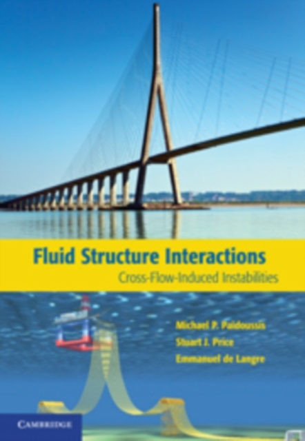 Fluid-Structure Interactions : Cross-Flow-Induced Instabilities, PDF eBook