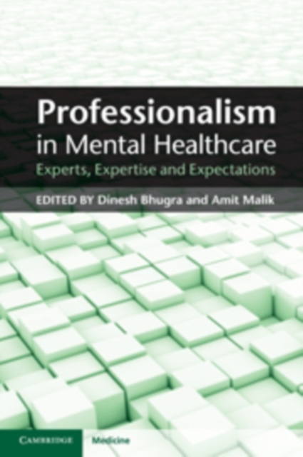 Professionalism in Mental Healthcare : Experts, Expertise and Expectations, PDF eBook