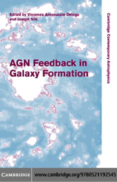 AGN Feedback in Galaxy Formation, PDF eBook