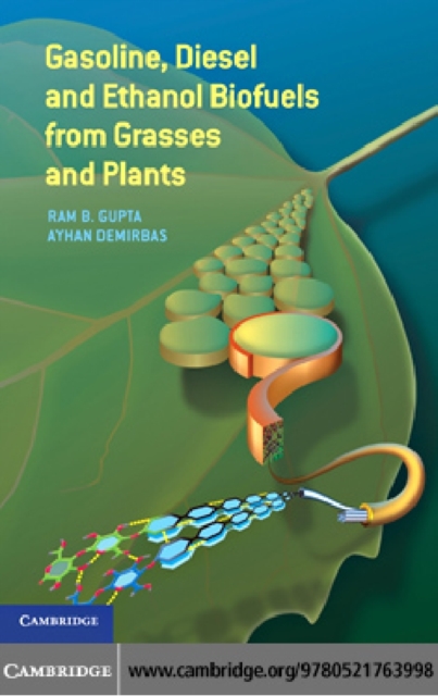 Gasoline, Diesel, and Ethanol Biofuels from Grasses and Plants, PDF eBook