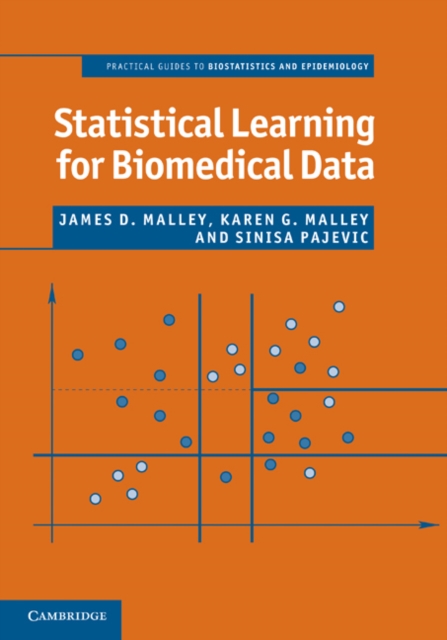 Statistical Learning for Biomedical Data, EPUB eBook