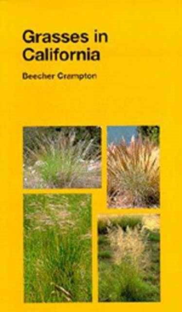 Grasses in California, Paperback / softback Book
