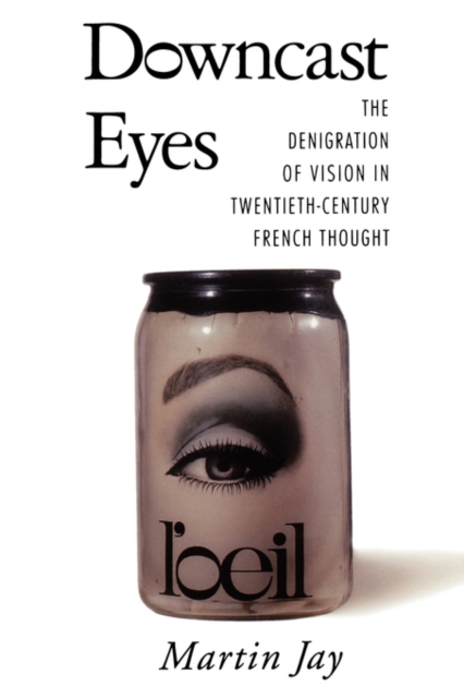Downcast Eyes : The Denigration of Vision in Twentieth-Century French Thought, Paperback / softback Book
