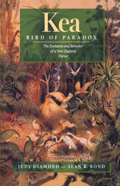 Kea, Bird of Paradox : The Evolution and Behavior of a New Zealand Parrot, Hardback Book