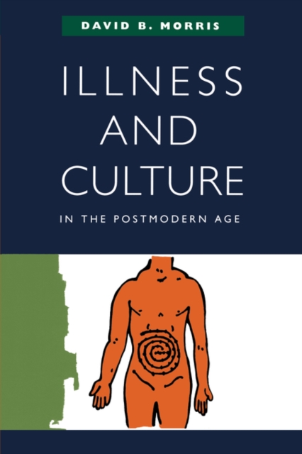 Illness and Culture in the Postmodern Age, Paperback / softback Book