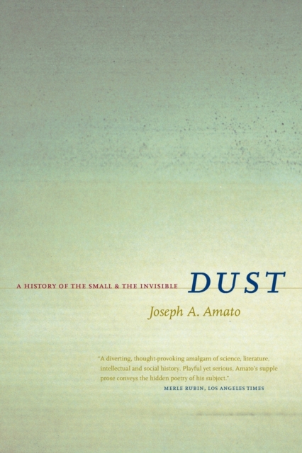 Dust : A History of the Small and the Invisible, Paperback / softback Book