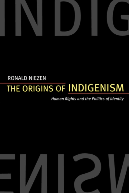 The Origins of Indigenism : Human Rights and the Politics of Identity, Paperback / softback Book