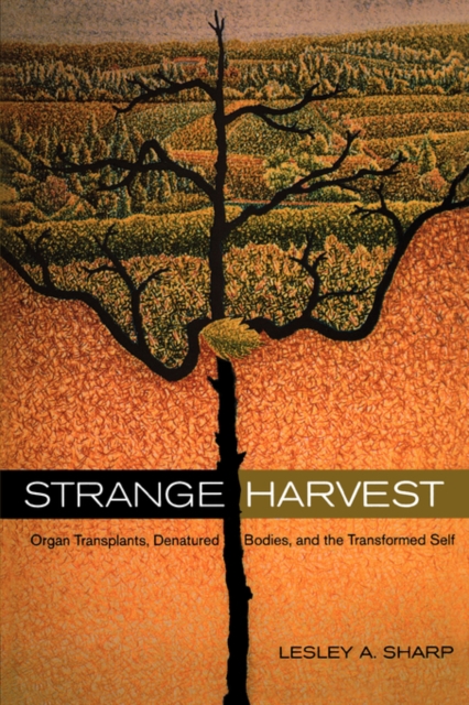 Strange Harvest : Organ Transplants, Denatured Bodies, and the Transformed Self, Paperback / softback Book