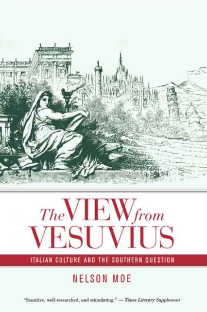 The View from Vesuvius : Italian Culture and the Southern Question, Paperback / softback Book