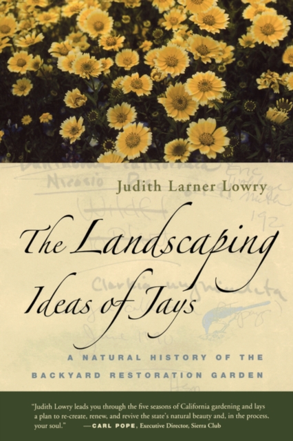 The Landscaping Ideas of Jays : A Natural History of the Backyard Restoration Garden, Paperback / softback Book
