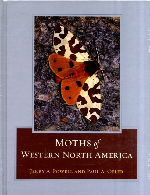 Moths of Western North America, Hardback Book