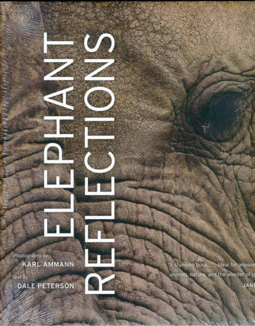 Elephant Reflections, Hardback Book