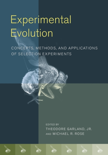 Experimental Evolution : Concepts, Methods, and Applications of Selection Experiments, Paperback / softback Book