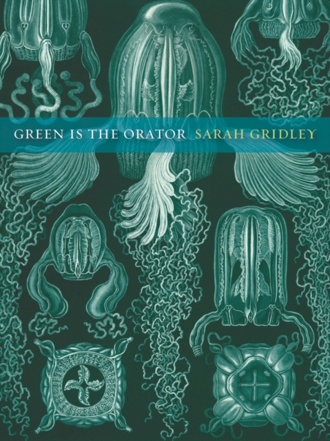 Green is the Orator, Hardback Book