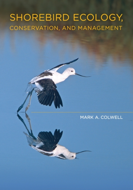 Shorebird Ecology, Conservation, and Management, Hardback Book