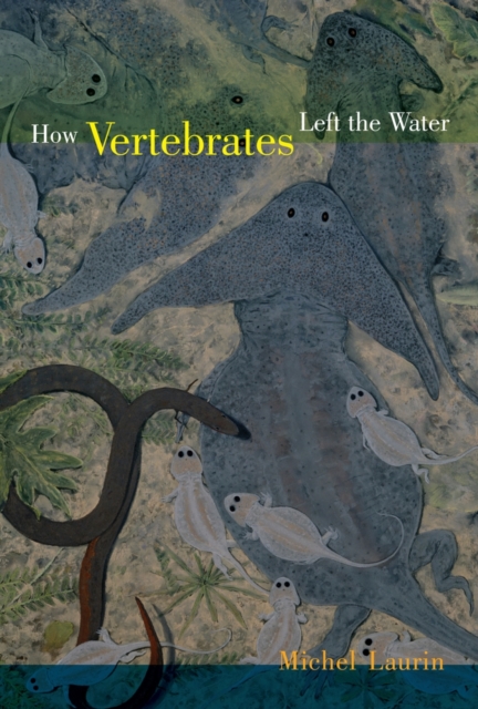 How Vertebrates Left the Water, Hardback Book