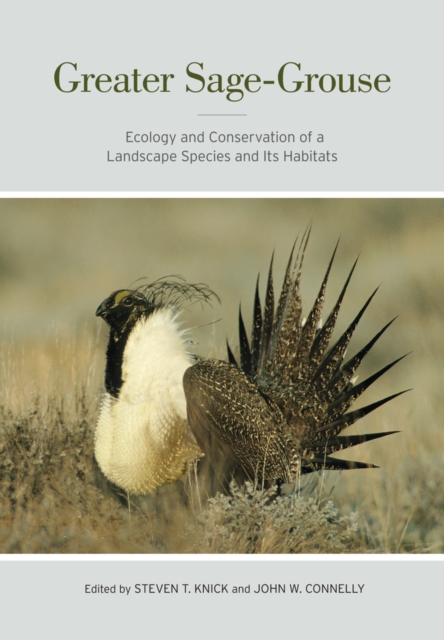 Greater Sage-Grouse : Ecology and Conservation of a Landscape Species and Its Habitats, Hardback Book