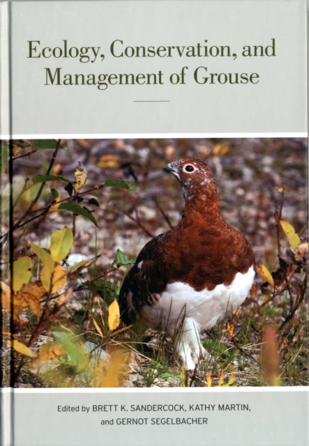 Ecology, Conservation, and Management of Grouse, Hardback Book
