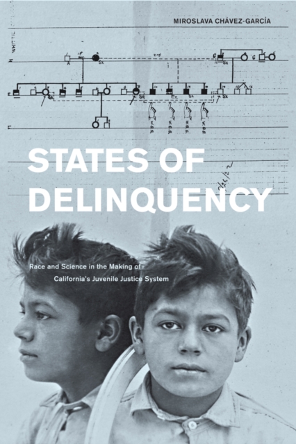States of Delinquency : Race and Science in the Making of California's Juvenile Justice System, Paperback / softback Book