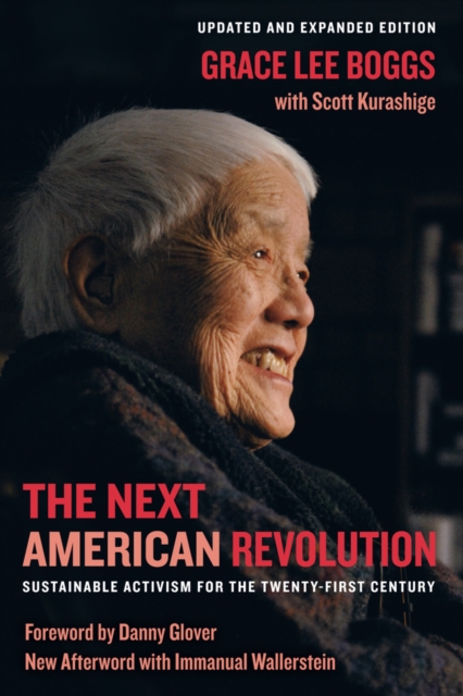 The Next American Revolution : Sustainable Activism for the Twenty-First Century, Paperback / softback Book