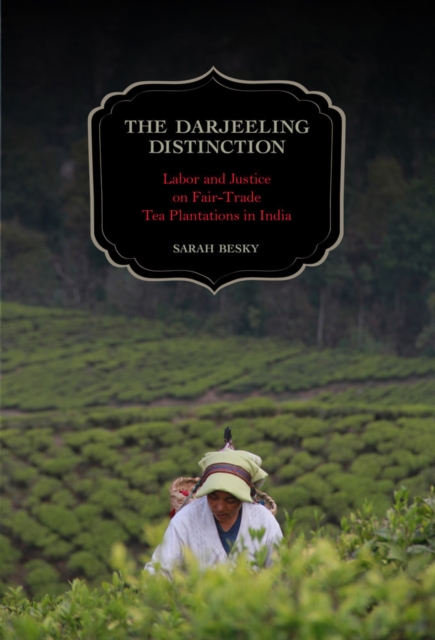 The Darjeeling Distinction : Labor and Justice on Fair-Trade Tea Plantations in India, Hardback Book