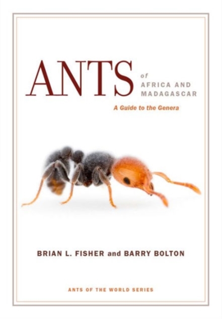 Ants of Africa and Madagascar : A Guide to the Genera, Hardback Book