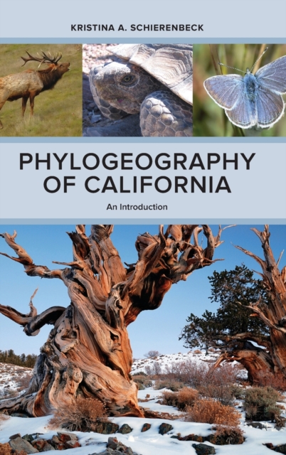 Phylogeography of California : An Introduction, Hardback Book