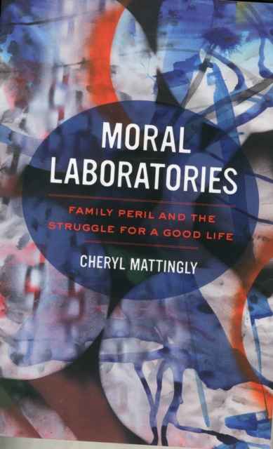 Moral Laboratories : Family Peril and the Struggle for a Good Life, Paperback / softback Book