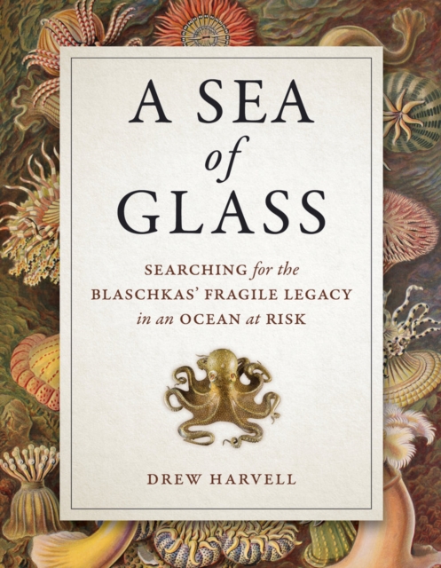 A Sea of Glass : Searching for the Blaschkas' Fragile Legacy in an Ocean at Risk, Hardback Book