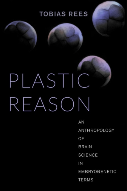 Plastic Reason : An Anthropology of Brain Science in Embryogenetic Terms, Paperback / softback Book
