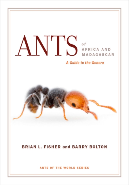 Ants of Africa and Madagascar : A Guide to the Genera, Paperback / softback Book