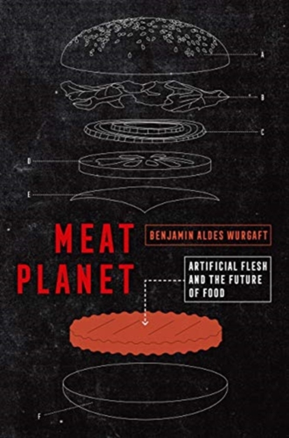 Meat Planet : Artificial Flesh and the Future of Food, Hardback Book